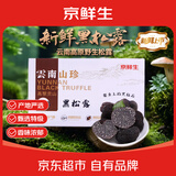 京鲜生云南新鲜黑松露2-3cm净重200g鲜菌菇送礼煲汤火锅食材源头直发
