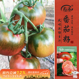 寿禾 草莓番茄种子苗绿肩西红柿蔬菜种籽 潍丰贝雷塔草莓番茄种子25粒