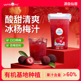 扬百利仙居杨梅汁冰杨梅果蔬汁孕妇饮料380ml*6瓶冰镇果汁整箱冰饮