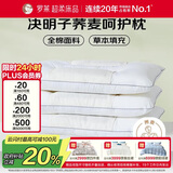 罗莱家纺 枕头枕芯脊椎枕 100%全棉决明子荞麦花草护颈高枕 46*72
