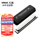 天鹅追梦人2409口琴 24孔复音进口音簧专业演奏口琴A#调（银色）