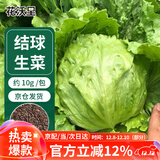 花沃里结球生菜种子10g/包 蔬菜种子四季绿叶菜阳台盆栽庭院田间种