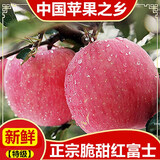 【新果】陕西白水苹果水果新鲜整箱冰糖心当季正宗脆甜红富士礼盒 富士含箱10斤 80-85mm优品