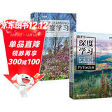 深度学习经典教程（pytorch版）(套装共2册)（异步图书出品） deepseek教程