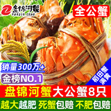 【活蟹】网兜蟹辽宁盘锦河蟹稻田河蟹礼盒螃蟹鲜活大闸蟹无绳净重 全公蟹丨1.8-2.1两【5只】（满膏）