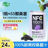 康之味NFC桑葚汁100%果饮原榨纯果汁鲜果蔬汁无添加饮料整箱非浓缩 NFC桑葚汁200ml*24听