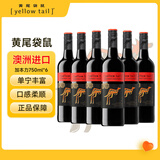 黄尾袋鼠（Yellow Tail）热门商品 澳大利亚进口 加本力苏维翁红葡萄酒 750ml*6瓶 整箱装