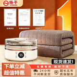 扬子水暖毯电热毯水循环加热床垫电褥子单人双人无辐射孕婴智能恒温 白遥控定时触控2.0*1.8M