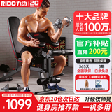 力动（RIDO）多功能哑铃凳卧推凳家用健身器材健身椅飞鸟凳TD50