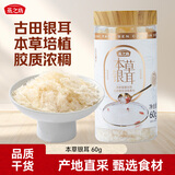 燕之坊古田本草银耳罐装60g 干货碎糯耳免洗免泡易出胶红枣银耳羹冲泡