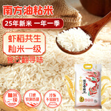 十月稻田 2025年新米 油粘米 银牙香粘米（南方大米 香米 籼米 10斤）