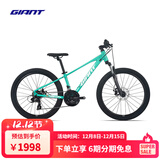 捷安特（GIANT）XTC 24-D 2铝合金24寸21速碟刹青少年变速山地自行车 消光凯利绿 24×12 建议130-150cm