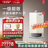 史密斯（A.O.SMITH）燃气壁挂炉【门店爆款】LL1GBQ-E10 天然气家用采暖热水两用壁挂炉 一级能效冷凝锅炉 （定金） 一级能效 24KW（Ai款）同城门店送装 务必咨询客服享优惠