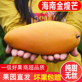 海南金煌芒水仙芒果应当季新鲜热带水果孕妇大青甜心芒整箱生鲜 9斤 精选特大果【400g+】