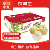 京鲜生 长城老树皇冠梨 净重5斤 单果250g+ 生鲜水果礼盒