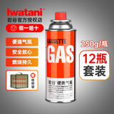 岩谷（Iwatani）户外 便携卡式炉气罐燃气瓶 喷枪丁烷气瓦斯罐装气体 原装250g*12
