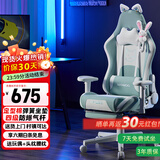 DOWINX电脑椅人体工学椅子家用游戏电竞椅可躺办公椅舒适久坐转椅升降椅 升降旋转扶手-薄荷绿