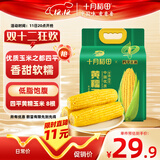 十月稻田 四平黄甜糯玉米 8根 3.52斤 东北黏玉米棒 真空包装 非转基因