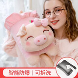 一暖创意 热水袋充电暖宝宝暖水袋已注水防爆可爱毛绒套捂手暖肚子暖手宝 粉色小猪【可拆洗】