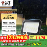 公牛（BULL）LED投光灯户外庭院工厂园林灯露营灯 IP65防水等级100W-6500K白光