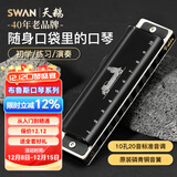 天鹅（SWAN）口琴10孔布鲁斯paddyC调口琴初学者成人演奏推荐