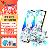 威刚（ADATA）XPG龙耀D500G吹雪联名DDR5台式内存条C28时序严选海力士Adie颗粒ddr5内存条灯条套装9800X3D专用 【9800X3D专用】6000 16*2吹雪C26