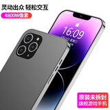 星盖世新款星盖世X13Pro八核超薄智能手机可用5G卡 全网通4g便宜学生智能老年机长续航游戏百元旗舰手机 尊贵黑 套装【8+256GB】