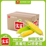 佳农宝菜山东带绿皮新鲜水果玉米健康轻食玉米4-6根4.5斤装源头直发