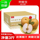 京鲜生山东烟台莱阳秋月梨净重3斤单果250g+  新鲜水果 源头直发包邮