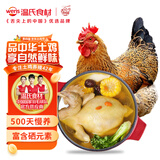 温氏供港老母鸡2.4斤 散养富硒老母鸡 冷冻 走地鸡500天月子鸡汤