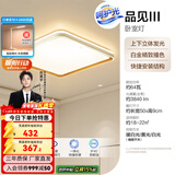 欧普照明（OPPLE）led调光客厅吸顶灯 灯饰套餐双层背光时尚卧室灯 方卧三档调光64瓦3840lm