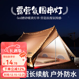 原始人（The Primitive） 户外露营灯野营照明氛围天幕帐篷灯串led超长续航装饰用品串灯带 6米40灯-白色圆球（电池款）