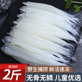 鲜拔头筹 青岛新鲜大银鱼 鲜活捕捞面条鱼小鱼银鱼干 海鲜水产 大银鱼1000g（净重）