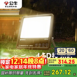 公牛（BULL）LED投光灯路灯庭院灯园林照明露营灯 IP65防水200W-3000K暖白光