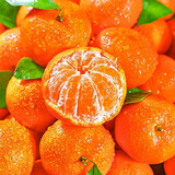 壹棵弘芯正宗现摘爆甜柑橘子新鲜水果当季酸甜口湖北椪柑橘子生鲜整箱 净重3斤尝鲜装【甜蜜有籽】单果约50mm+