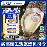 贝司令 鲜活乳山生态生蚝XL 净重4斤 16-22只 生鲜源头直发