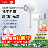 米家小米电吹风 速干吹风机  负离子护发 H300  送女友生日礼物送礼推荐 家用学生宿舍