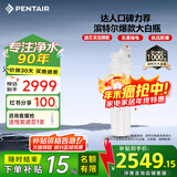 滨特尔（pentair）大白瓶前置过滤器 全屋家用自来水过滤器 前置净水器大蓝瓶 中央净水机大流量大胖瓶高精度 【20寸大白瓶】包安装