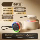 ROBERILLINE无线蓝牙音箱迷你金属小钢炮户外骑行车载家用FLAC无损音质炫彩氛围灯长效续航宿舍便携播放器礼物 【香槟金】IP67防尘防水+FLAC无损音质+电镀烤漆工艺