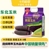 十月稻田 黑糯玉米 3.52斤(220g*8根) 东北玉米 杂粮粗粮 低脂早餐