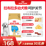 皇家狗粮 拉布拉多幼犬狗粮 宠物大型犬 ALR33 全价犬粮 2-15月 3KG