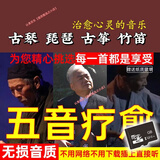 车载五音疗愈养生无损轻音乐U盘古典音药古琴琵琶笛子tf卡cd碟片 【TF卡】1000首音乐(无视频）+歌单