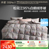 水星家纺羽绒被95%白鹅绒被子冬季加厚冬被芯单人羽绒被150cm×210cm-800g