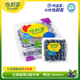怡颗莓Driscoll's当季新鲜云南蓝莓14mm+ 2盒装 约125g/盒 京东超市水果