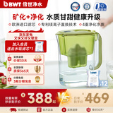 倍世（BWT）净水壶滤水壶净水器家用 欧洲去水垢滤芯 益家4.2L大容量 过滤水壶 厨房客厅通用 【去水垢滤芯】1壶12芯 绿色