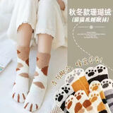 北极绒（Bejirog）袜子女中筒袜秋冬季加绒日系可爱猫爪ins潮春秋季 随机色 1双 均码
