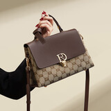 红蜻蜓（RED DRAGONFLY）包包女包斜挎单肩包大容量轻奢手提包送情人节新年生日礼物