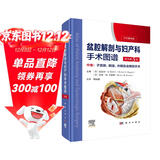 盆腔解剖与妇产科手术图谱 中卷 （原书第5版）