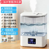 志高（CHIGO） 加湿器家用大喷雾容量空调卧室低噪音孕妇婴儿空气加湿器香薰机净化器ZG-521 电脑智能恒湿净化版