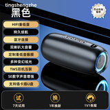 TINGSHENGZHE【柏林之声|更长续航】蓝牙音箱重低音炮家庭户外便携式桌面电脑迷你家用小音响无线插卡高音质 典雅黑【柏林之声|更长续航】 进口双喇叭-低音炮-大音量